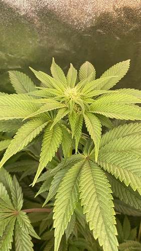 Growreport Bild 23