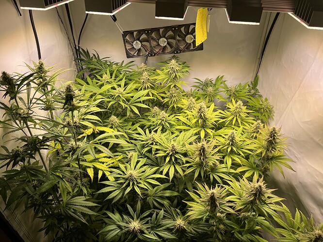 Growreport Bild 3