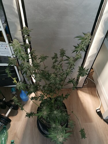 Growreport Bild 8