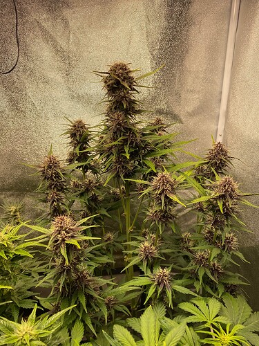 Growreport Bild 14