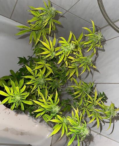 Growreport Bild 10