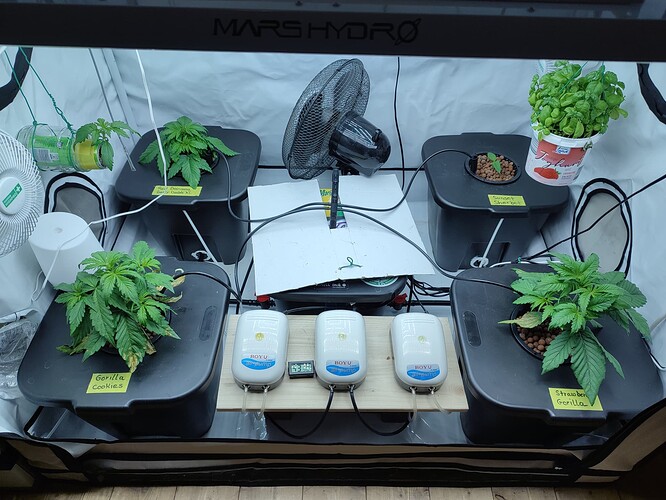 Growreport Bild 5