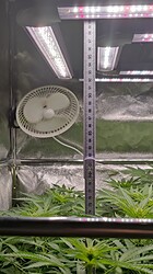 Growreport Bild 24