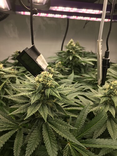 Growreport Bild 15