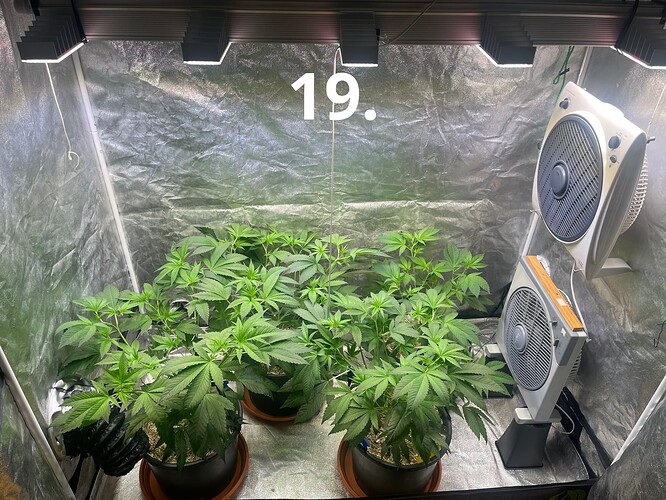 Growreport Bild 9