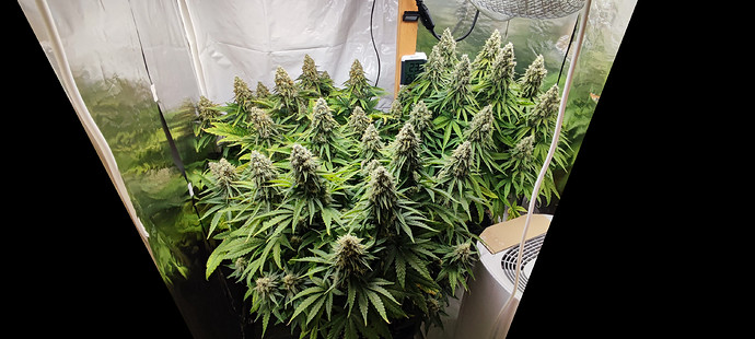 Growreport Bild 4