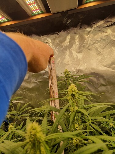 Growreport Bild 19