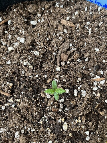 Growreport Bild 12