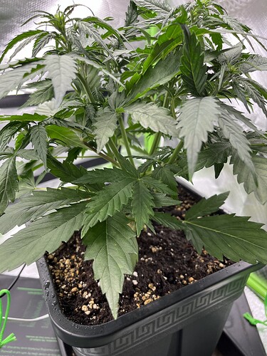 Growreport Bild 11