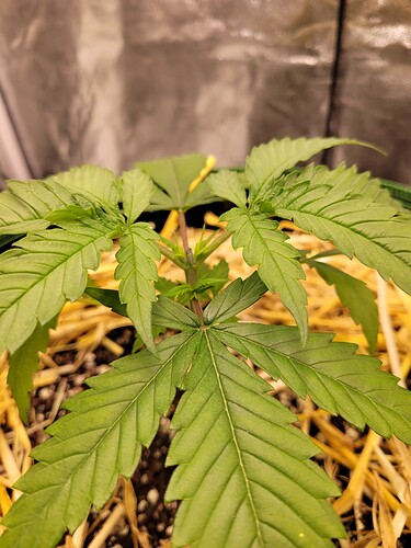 Growreport Bild 7