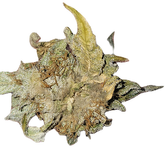 Growreport Bild 8