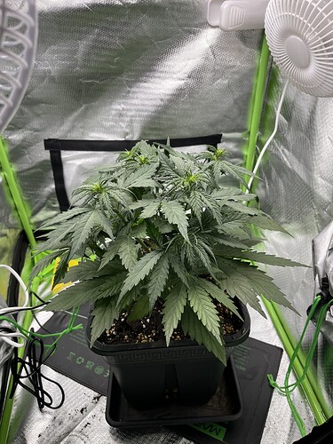 Growreport Bild 10