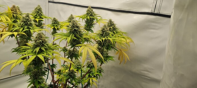 Growreport Bild 9