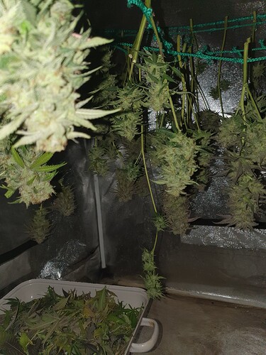 Growreport Bild 16