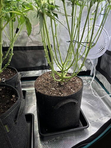 Growreport Bild 16