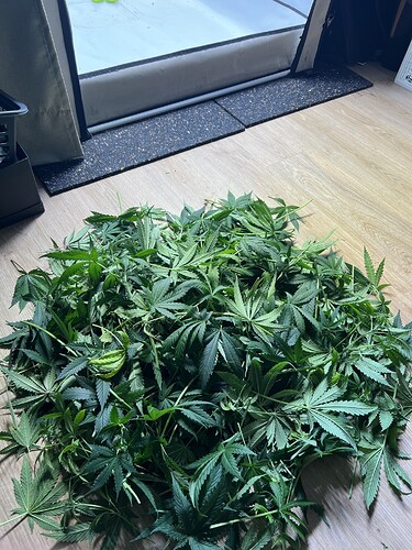 Growreport Bild 5