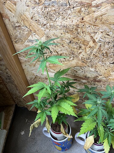 Growreport Bild 15