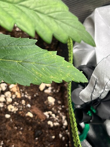 Growreport Bild 10