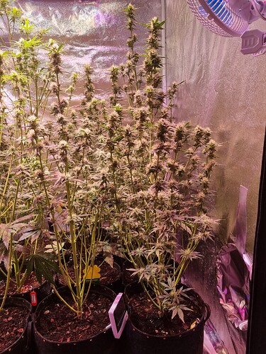 Growreport Bild 21
