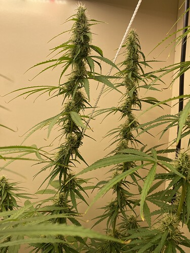 Growreport Bild 10