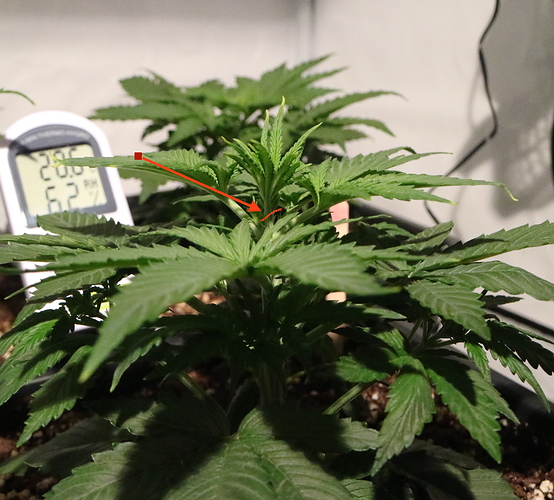Growreport Bild 2