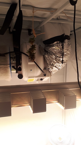 Growreport Bild 18