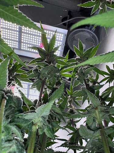 Growreport Bild 14