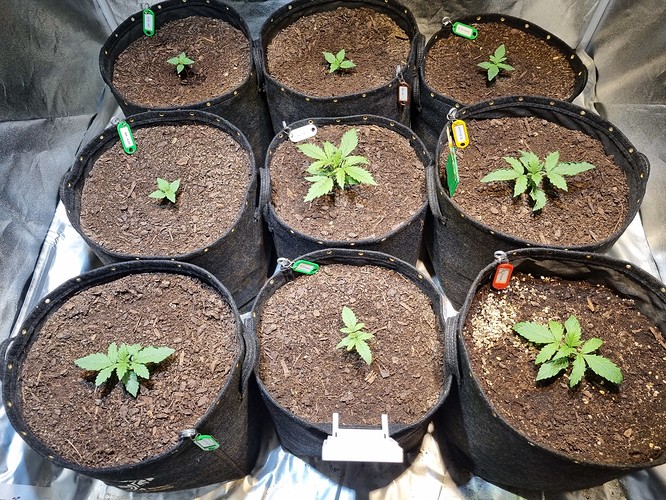 Growreport Bild 13