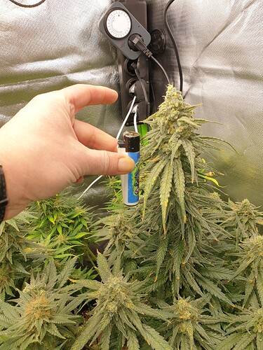 Growreport Bild 17