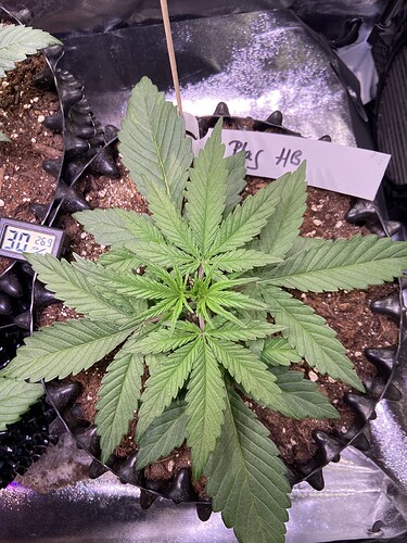 Growreport Bild 8