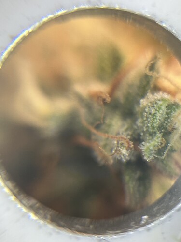 Growreport Bild 18