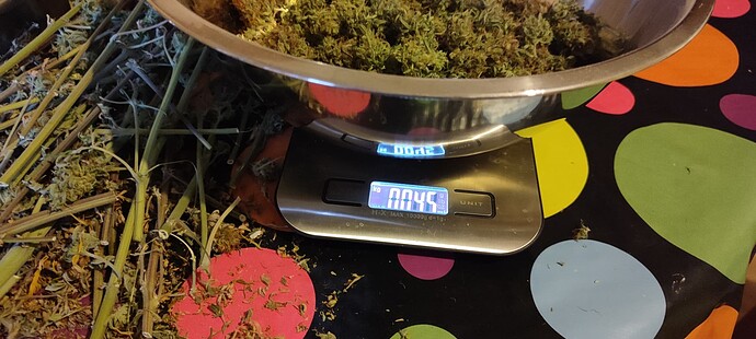 Growreport Bild 15