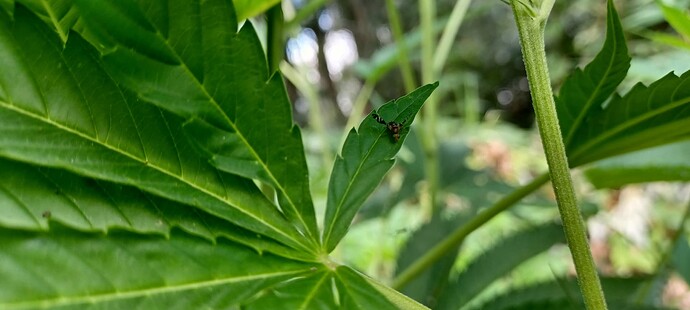 Growreport Bild 7