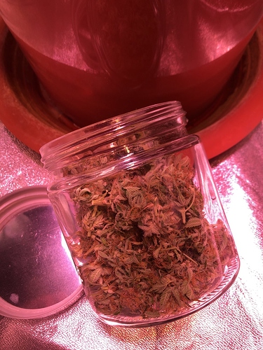 Growreport Bild 9