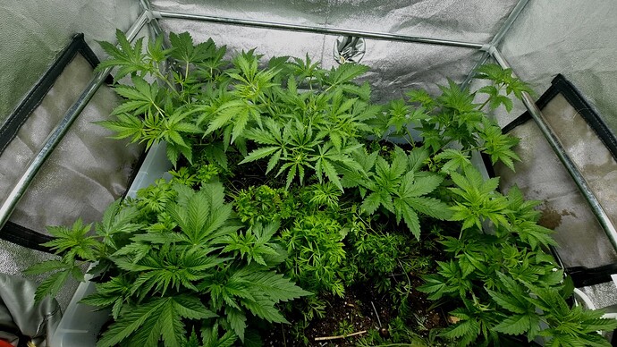 Growreport Bild 10