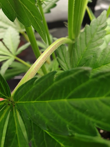 Growreport Bild 10