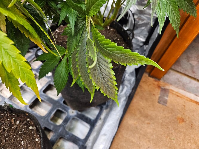Growreport Bild 16