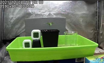 Screenshot_20211204-163859