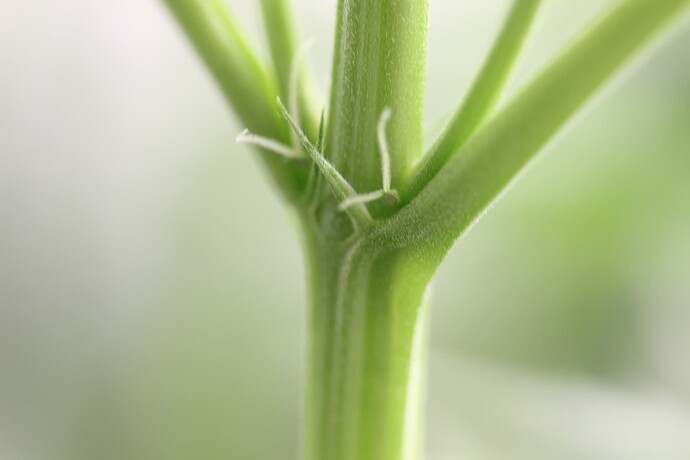 Growreport Bild 2