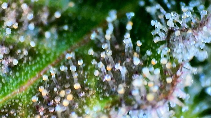 Growreport Bild 21
