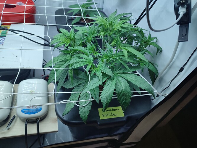 Growreport Bild 10