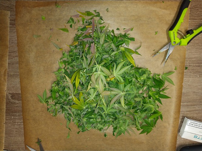 Growreport Bild 12