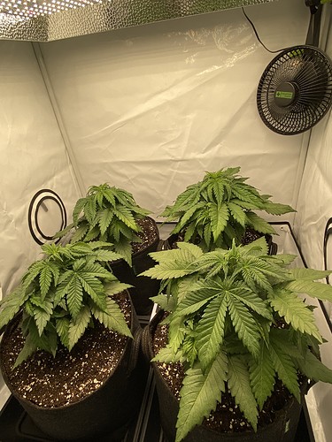 Growreport Bild 12
