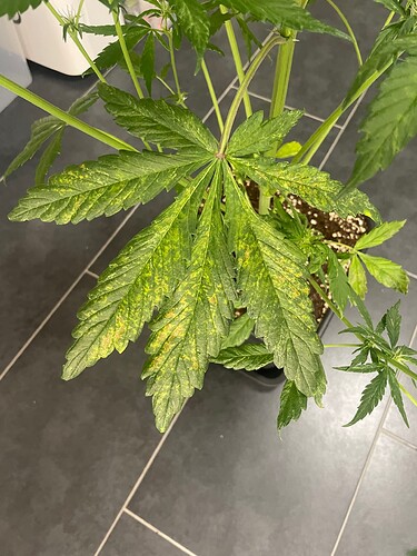 Growreport Bild 16