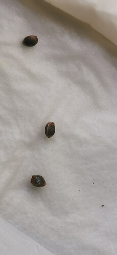 Growreport Bild 10