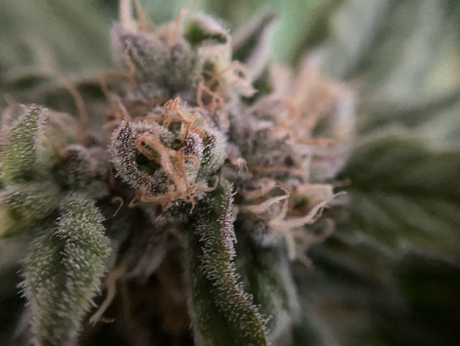 Growreport Bild 17