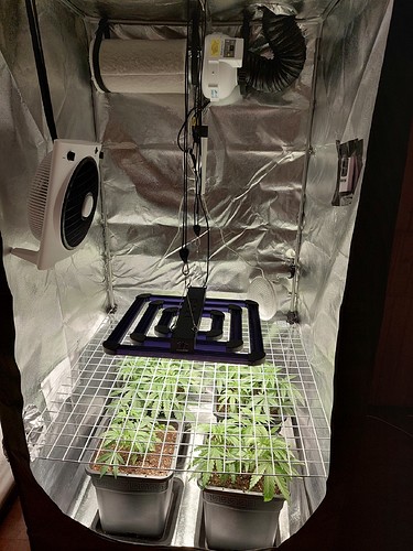 Growreport Bild 3