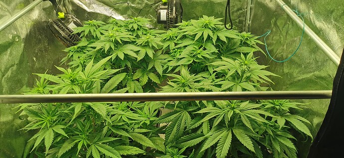 Growreport Bild 16