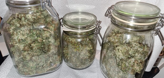 Growreport Bild 14