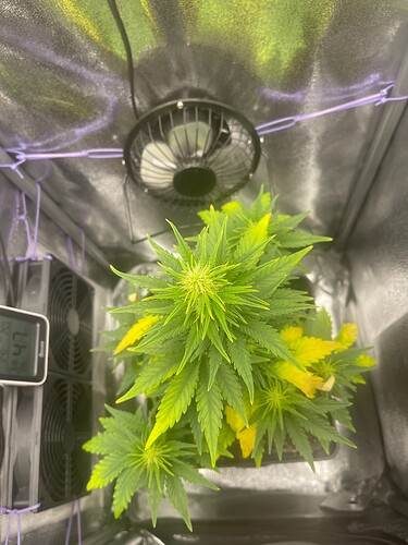 Growreport Bild 3